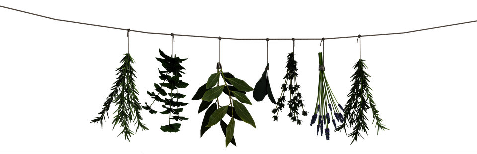 Komode-Cabinet-Shoes-Stool-Leash-Herbs-1786098